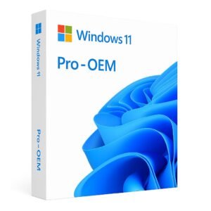 Digiware – Licence Windows 11 Pro OEM